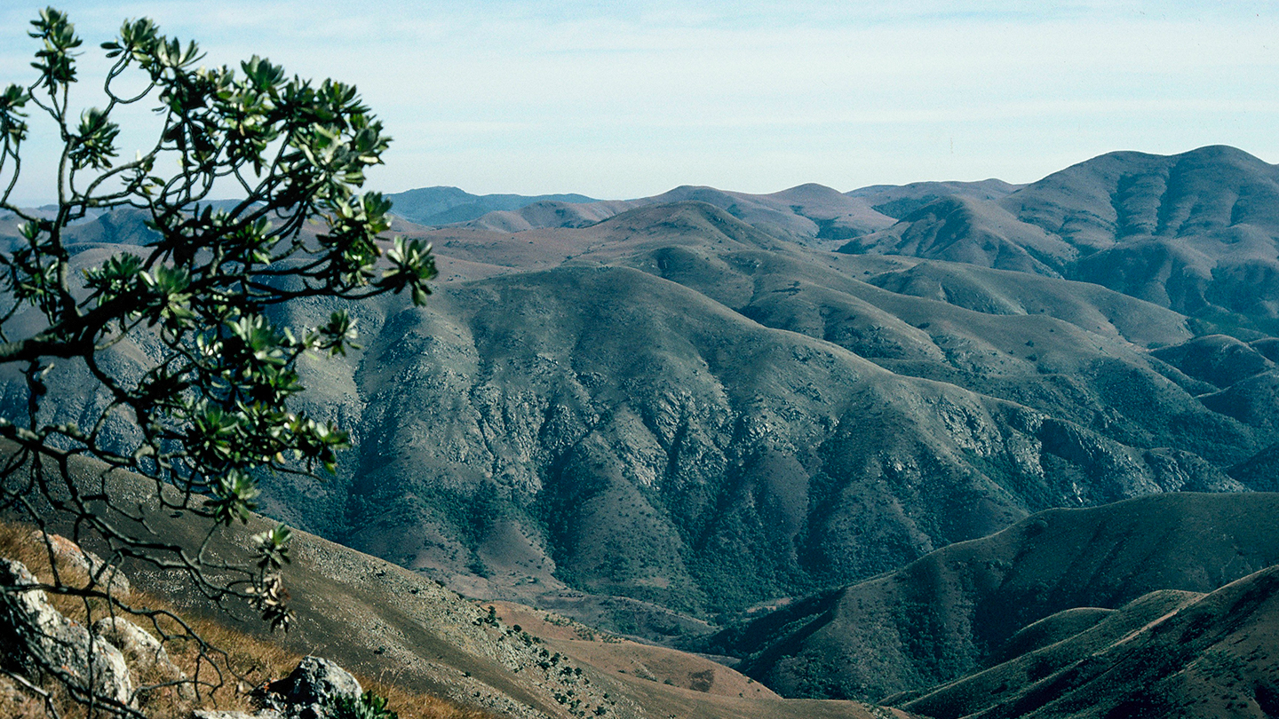 Greenstone Strip Barbeleton in South Africa