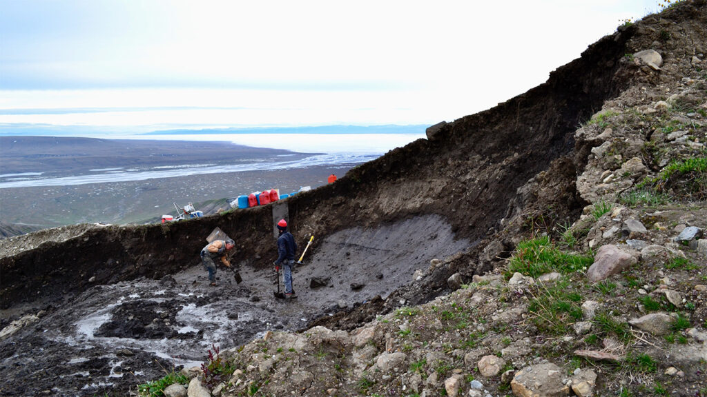 An exposed patch of gray, layered glacier ice is exposed in a brown, earthen headwall.