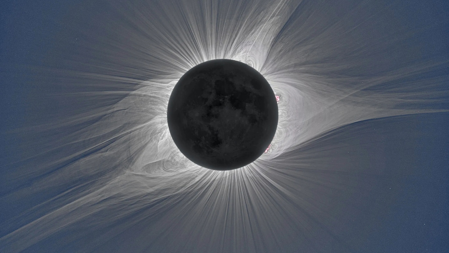 White tendons in the corona solar frame a moon of great shade during a solar eclipse