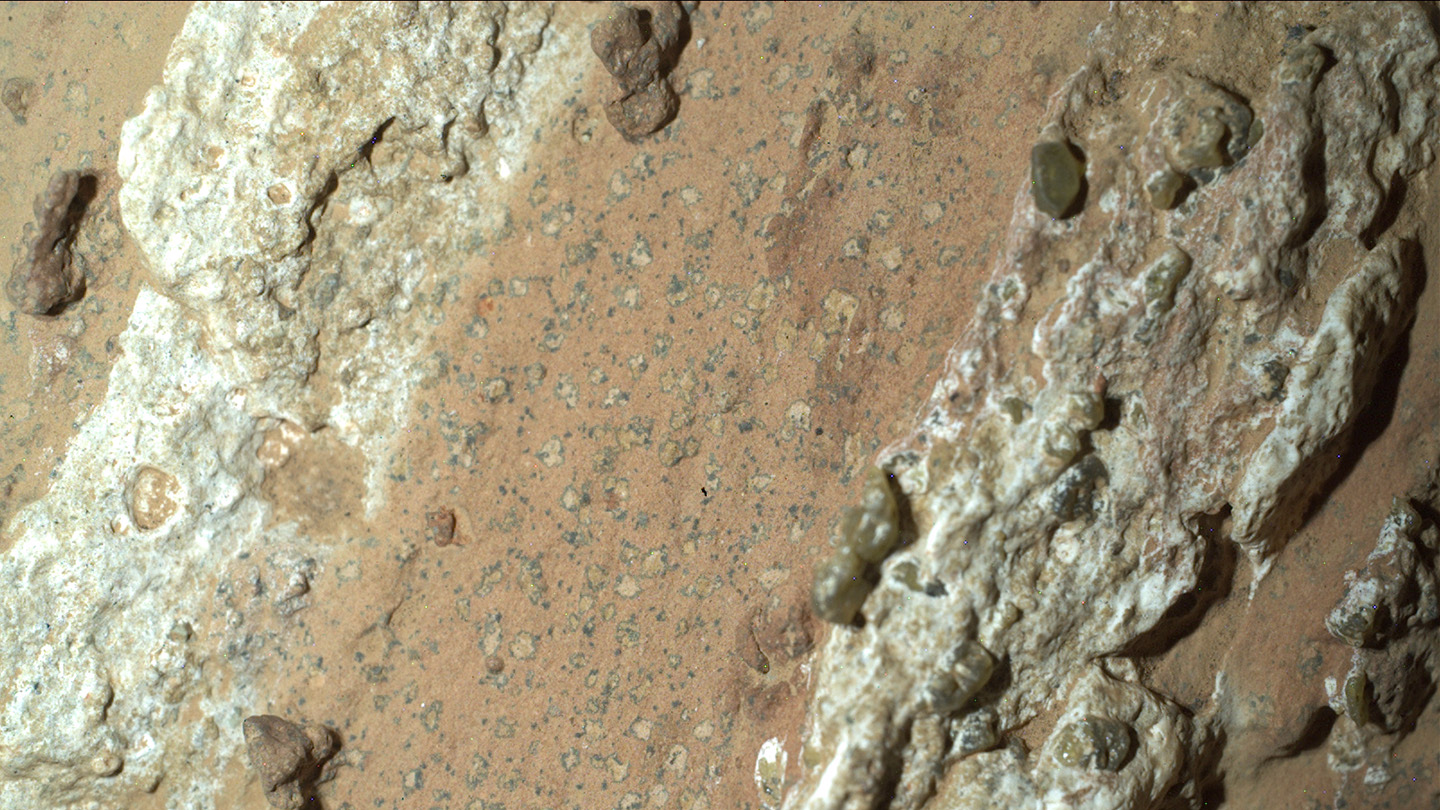 An image of a rock in March taken from NASA Rover's perseverance. Rocky White Stripes winged a clay area that is prominent with dark spots.